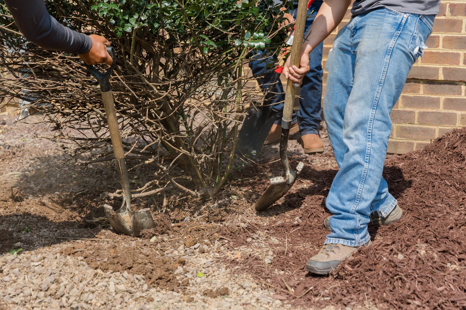 Landscaping project by Pro Quality Property Maintenance